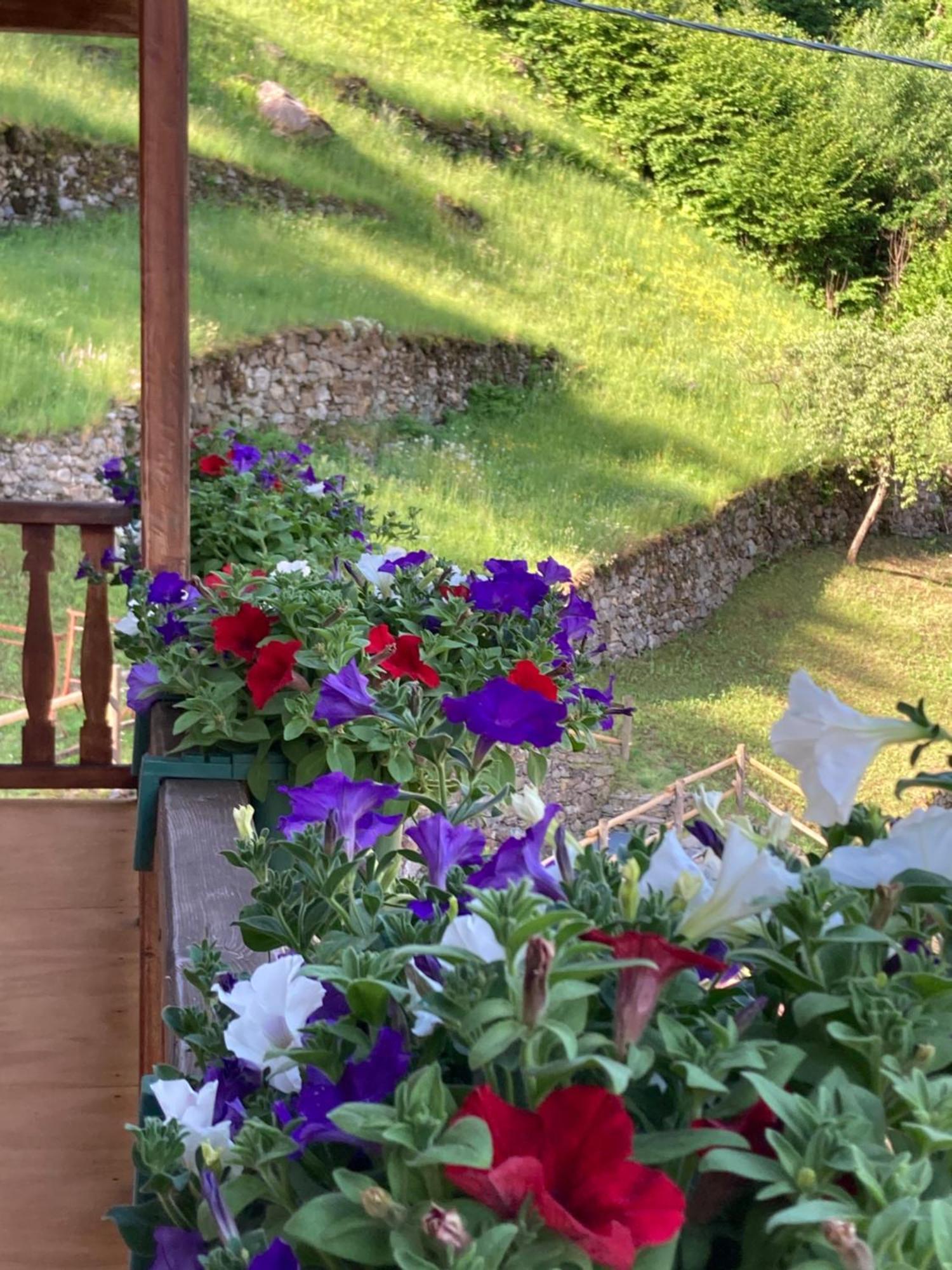 B&B Maison Vallomy Lillianes Bagian luar foto